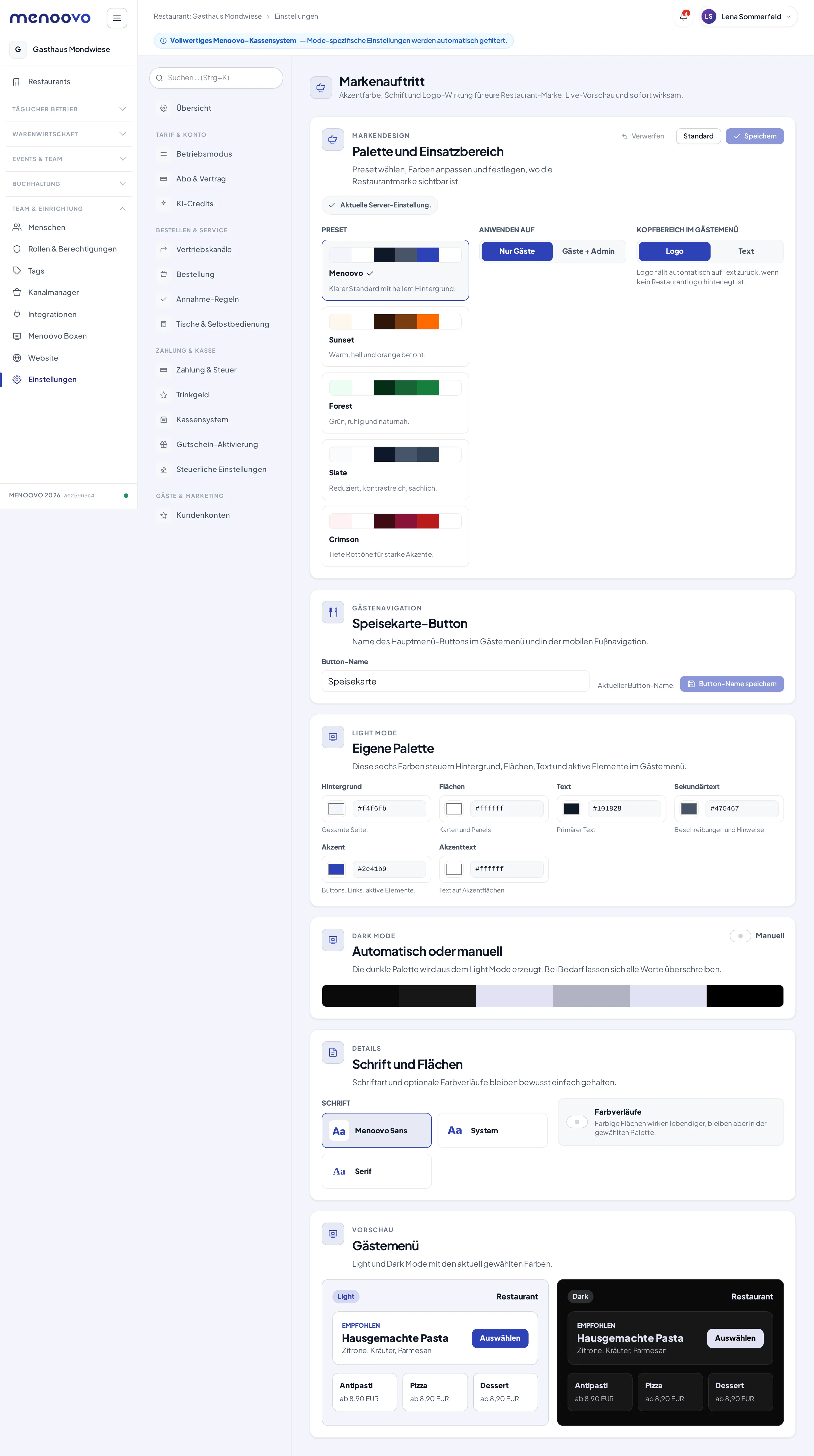 Das Markenauftritt-Panel mit Preset-Auswahl, Einsatzbereich, eigener Palette, Dark Mode, Schrift und Vorschau